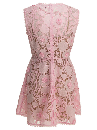 Short lace dress Dresses