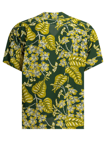 "Plumeria Blossoms" Casual Shirt Shirts