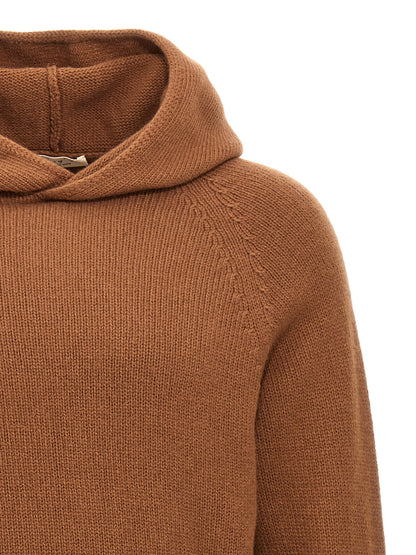 Wool hooded sweater Sweater, cardigans