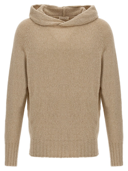Hooded sweater Sweater, cardigans