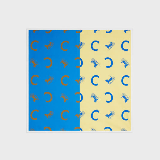 Celine 90x90cm square - TEALYELLOW