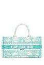 Christian Dior Dior book tote
