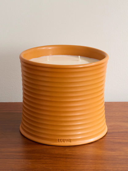 Loewe Loewe large orange blossom candle