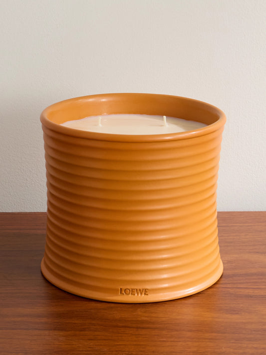 Loewe Loewe large orange blossom candle