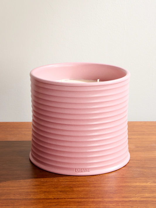 Loewe Candle ivy l